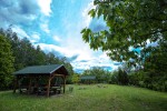Fotogalerija: Ako vas put od Slatine preko Huma navede prema Voćinu, posjetite Arboretum Lisičine 8 IMG 6213