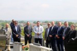 IMG 7474