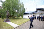 IMG 7695