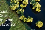 Osjeti. Okusi. Upoznaj. Slavonija: Premijerno predstavljena nova platforma Slavonia.Travel 6 102803414 2999874650094450 6268109429657305088 n