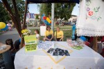 Vidovo 2020: Pitomačani proslavili Dan općine uz druženje, delicije i glazbu 12 IMG 0076