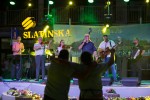 Vidovo 2020: Pitomačani proslavili Dan općine uz druženje, delicije i glazbu 44 IMG 0559