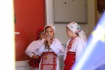 IMG 7247