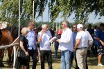 Fotogalerija: U Čađavici je održana 13. međužupanijska izložba hladnokrvnih konja i revija zaprega 10 cadjavica hladno 13