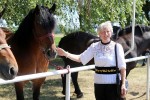 Fotogalerija: U Čađavici je održana 13. međužupanijska izložba hladnokrvnih konja i revija zaprega 12 cadjavica hladno 15