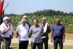 Fotogalerija: U Čađavici je održana 13. međužupanijska izložba hladnokrvnih konja i revija zaprega 16 cadjavica hladno 24