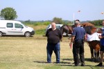Fotogalerija: U Čađavici je održana 13. međužupanijska izložba hladnokrvnih konja i revija zaprega 18 cadjavica hladno 26
