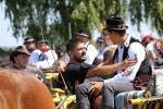 Fotogalerija: U Čađavici je održana 13. međužupanijska izložba hladnokrvnih konja i revija zaprega 20 cadjavica hladno 31