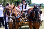 Fotogalerija: U Čađavici je održana 13. međužupanijska izložba hladnokrvnih konja i revija zaprega 23 cadjavica hladno 36