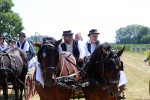 Fotogalerija: U Čađavici je održana 13. međužupanijska izložba hladnokrvnih konja i revija zaprega 27 cadjavica hladno 40
