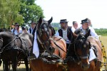 Fotogalerija: U Čađavici je održana 13. međužupanijska izložba hladnokrvnih konja i revija zaprega 28 cadjavica hladno 41