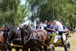 Fotogalerija: U Čađavici je održana 13. međužupanijska izložba hladnokrvnih konja i revija zaprega 29 cadjavica hladno 42