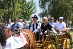 Fotogalerija: U Čađavici je održana 13. međužupanijska izložba hladnokrvnih konja i revija zaprega 30 cadjavica hladno 43