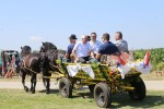 Fotogalerija: U Čađavici je održana 13. međužupanijska izložba hladnokrvnih konja i revija zaprega 33 cadjavica hladno 46