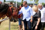 Fotogalerija: U Čađavici je održana 13. međužupanijska izložba hladnokrvnih konja i revija zaprega 5 cadjavica hladno 6
