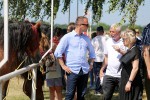 Fotogalerija: U Čađavici je održana 13. međužupanijska izložba hladnokrvnih konja i revija zaprega 7 cadjavica hladno 8