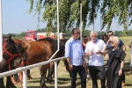 Fotogalerija: U Čađavici je održana 13. međužupanijska izložba hladnokrvnih konja i revija zaprega 8 cadjavica hladno 9