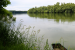 Svjetski dan zaštite okoliša: Korisnim aktivnostima poručili “Vrijeme je za prirodu” 5 image015