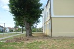 Špišić Bukovica: Završila energetska obnova Kurije Špišić koja je uz uštede od 54 posto, iz D "skočila" u B energetski razred 14 DSC 0372