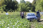 Prvi takav sustav u Hrvatskoj: Podzemno navodnjavanje donosi stopostotno veći prinos, šećerne repe će umjesto 50 biti 100 tona, a kukuruza umjesto 5 - 20 tona 2 IMG 0679