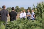 Prvi takav sustav u Hrvatskoj: Podzemno navodnjavanje donosi stopostotno veći prinos, šećerne repe će umjesto 50 biti 100 tona, a kukuruza umjesto 5 - 20 tona 6 IMG 0709