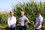 Prvi takav sustav u Hrvatskoj: Podzemno navodnjavanje donosi stopostotno veći prinos, šećerne repe će umjesto 50 biti 100 tona, a kukuruza umjesto 5 - 20 tona 13 IMG 0739