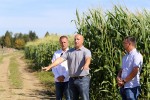 Prvi takav sustav u Hrvatskoj: Podzemno navodnjavanje donosi stopostotno veći prinos, šećerne repe će umjesto 50 biti 100 tona, a kukuruza umjesto 5 - 20 tona 14 IMG 0748