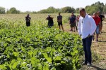 Prvi takav sustav u Hrvatskoj: Podzemno navodnjavanje donosi stopostotno veći prinos, šećerne repe će umjesto 50 biti 100 tona, a kukuruza umjesto 5 - 20 tona 20 IMG 0835