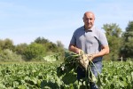 Prvi takav sustav u Hrvatskoj: Podzemno navodnjavanje donosi stopostotno veći prinos, šećerne repe će umjesto 50 biti 100 tona, a kukuruza umjesto 5 - 20 tona 22 IMG 0854