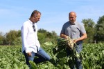Prvi takav sustav u Hrvatskoj: Podzemno navodnjavanje donosi stopostotno veći prinos, šećerne repe će umjesto 50 biti 100 tona, a kukuruza umjesto 5 - 20 tona 23 IMG 0858