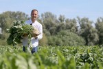 Prvi takav sustav u Hrvatskoj: Podzemno navodnjavanje donosi stopostotno veći prinos, šećerne repe će umjesto 50 biti 100 tona, a kukuruza umjesto 5 - 20 tona 27 IMG 0946