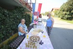 IMG 2027 1024x683
