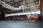 IMG 4169