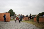 IMG 4541