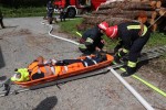 Fotogalerija: Vatrogasci gasili požare nastale u nevremenu i potresu, te spašavali unesrećene 10 IMG 9846