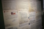 Stoljetni virovitički cvijet: Tvrtka FLORA prigodnom izložbom proslavila 100 godina uspješnog postojanja i rada 8 MG 1838