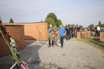 IMG 5137