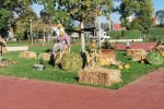 IMG 20201010 095017