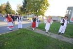 IMG 2254 Medium