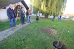 IMG 2256 Medium