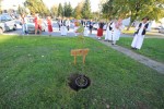 IMG 2258 Medium