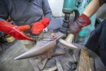 Obitelj Trstenjak su posljednji kovači u Virovitičko-podravskoj županiji: Reski zvuk metala tu je generacijama, već više od 100 godina, od Prvog svjetskog rata, od 1917. 38 IMG 9894