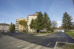 starcevic2