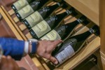Znate li da se u Pitomači, na jednom mjestu, može pronaći vino koje pije Papa, najbolja hrvatska Graševina de Gotho i 67 najpoznatijih svjetskih vina, a educirano je i 12 master sommeliera 25 IMG 2990