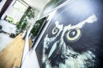 Posjetiteljski centar Dravska priča ima novo radno vrijeme i može ga se posjetiti i vikendima, doznajte cijene ulaznica za posjet ove prvorazredne atrakcije 50 Noskovacka Dubrava Snimio Kristijan Toplak 66