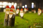 advent vtc 2020 29