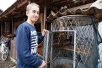 Upoznajte Dinu iz Suhopolja, koji ima samo 12 godina i on svoj džeparac troši na svoje ljubimce kojih ima više od pedeset 2 dino 2 Custom