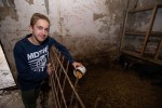 Upoznajte Dinu iz Suhopolja, koji ima samo 12 godina i on svoj džeparac troši na svoje ljubimce kojih ima više od pedeset 4 dino 9 Custom