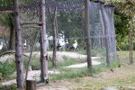 Posjetiteljski centar Dravska priča ima novo radno vrijeme i može ga se posjetiti i vikendima, doznajte cijene ulaznica za posjet ove prvorazredne atrakcije 4 dravska prica 1 25