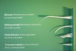 Posjetiteljski centar Dravska priča ima novo radno vrijeme i može ga se posjetiti i vikendima, doznajte cijene ulaznica za posjet ove prvorazredne atrakcije 34 dravska prica 42